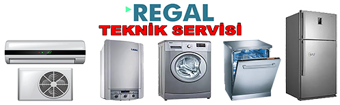 Sarıyer İstinye Mahallesi Regal Servisi 